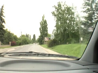 Mischievous cougar Gets Roadside Assistance