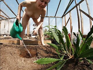Nude Greenhouse employee Planting Cacti